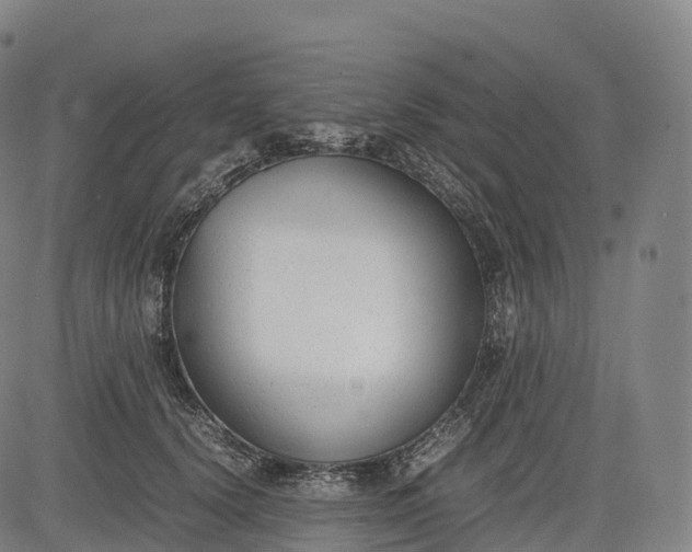 X0000083010656200702161552