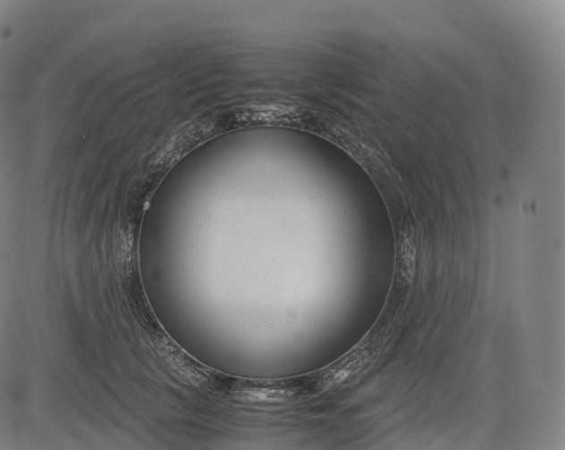 X0000083010657200702161552