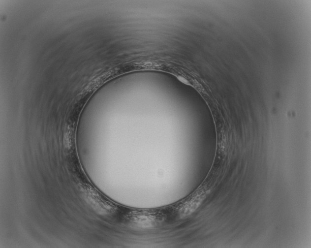 X0000083010658200702161552