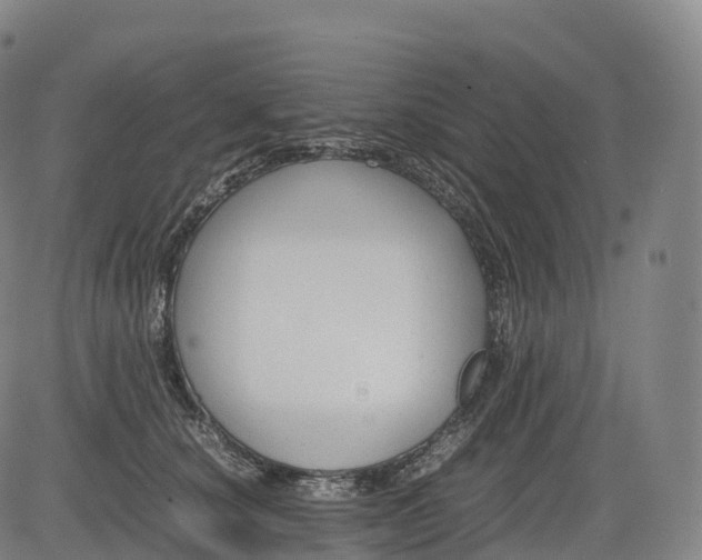 X0000083010660200702161552