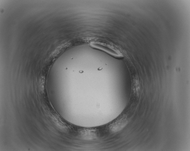 X0000083010664200702161552