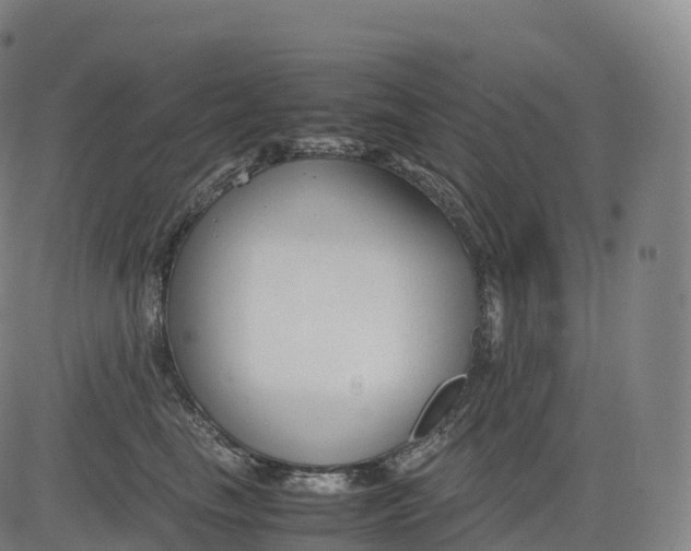 X0000083010665200702161552