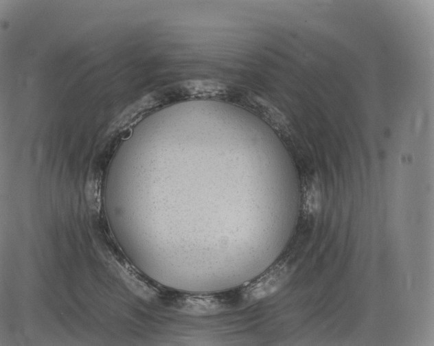 X0000083010666200702161552