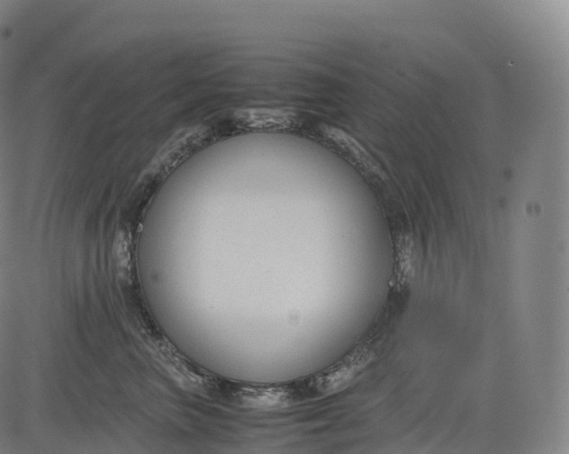 X0000083010667200702161552