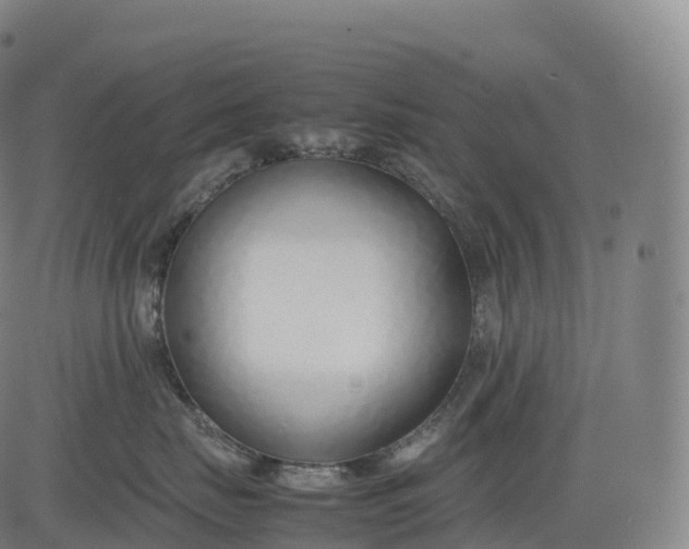 X0000083010671200702161553