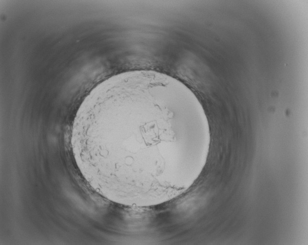 X0000083010672200702161553