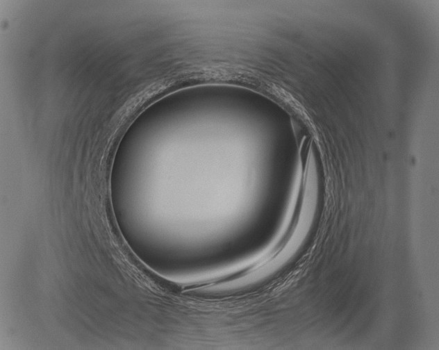 X0000083010673200702161552