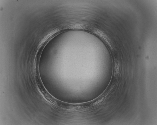 X0000083010674200702161552