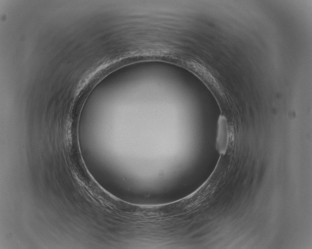 X0000083010676200702161552