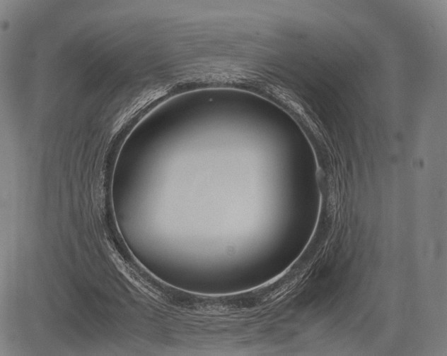 X0000083010677200702161552