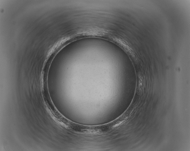 X0000083010678200702161552