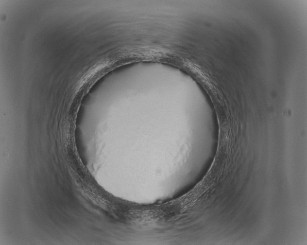 X0000083010679200702161552