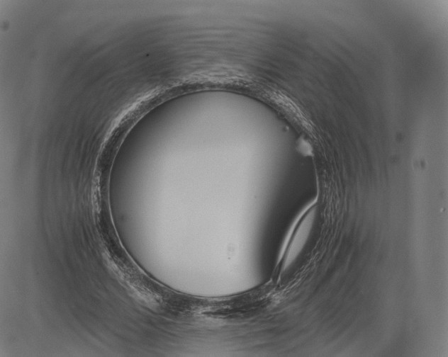 X0000083010680200702161552