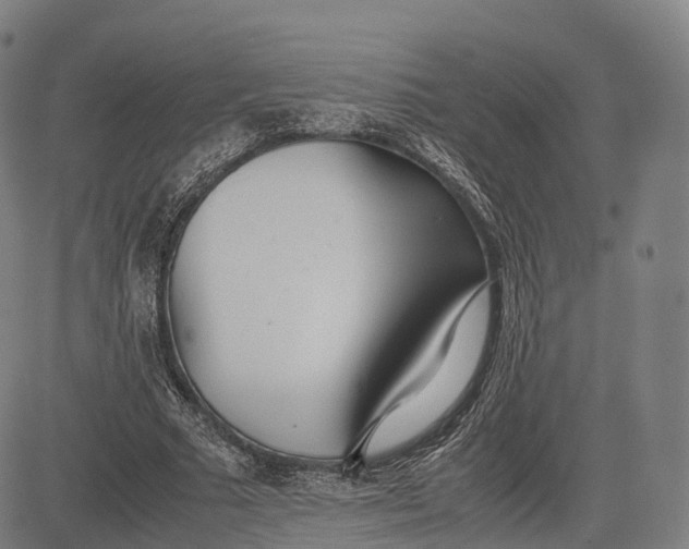 X0000083010681200702161552