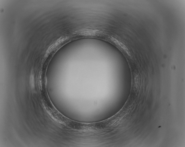 X0000083010682200702161552