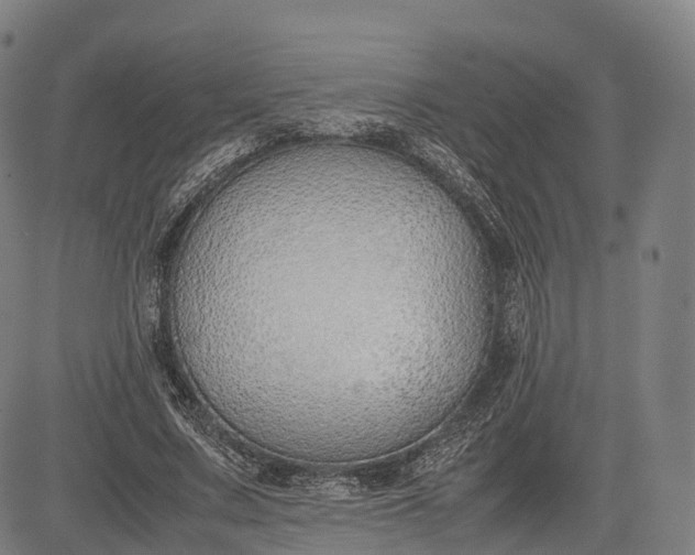 X0000083010683200702161552