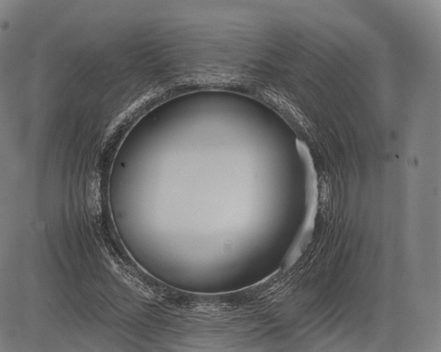 X0000083010684200702161552