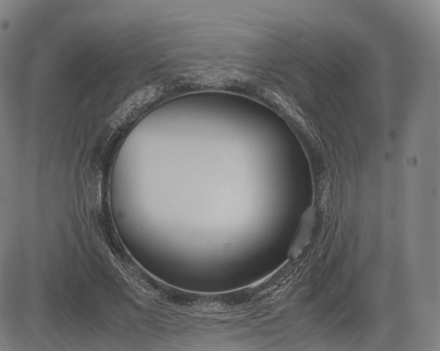 X0000083010685200702161552