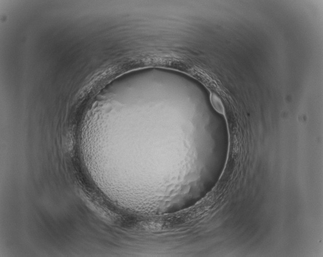 X0000083010687200702161552