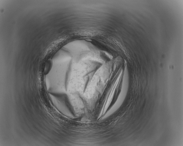 X0000083010688200702161552