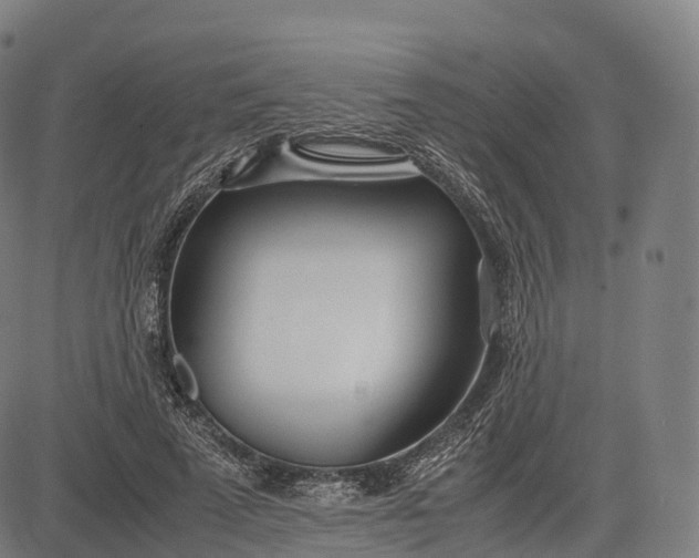 X0000083010689200702161552