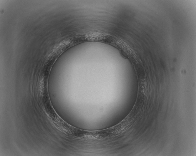 X0000083010690200702161552