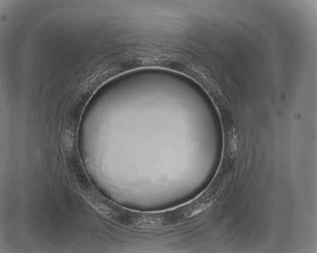 X0000083010691200702161551