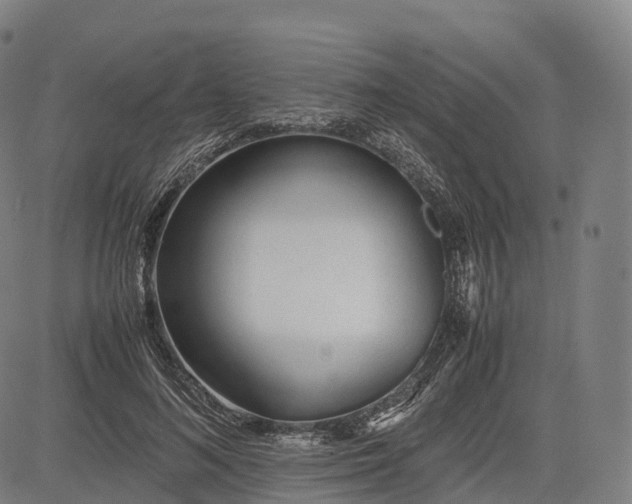 X0000083010692200702161551