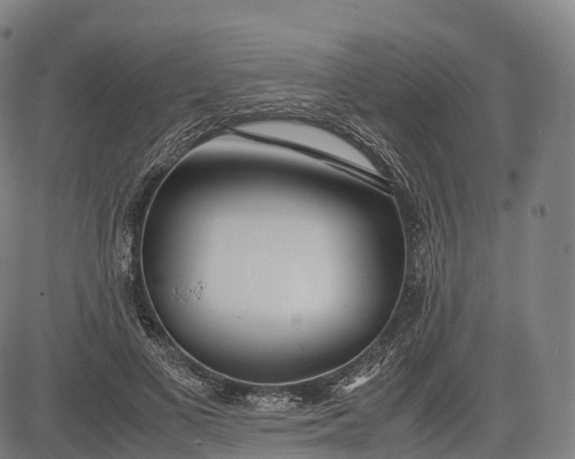 X0000083010693200702161551