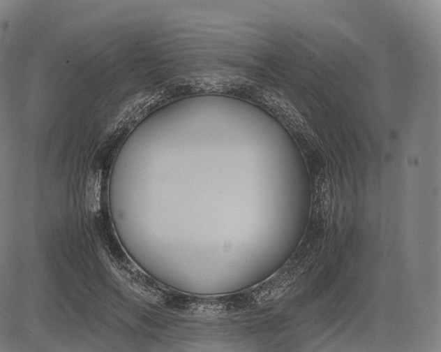 X0000083010694200702161551