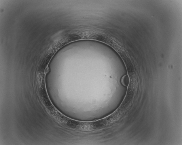 X0000083010695200702161551