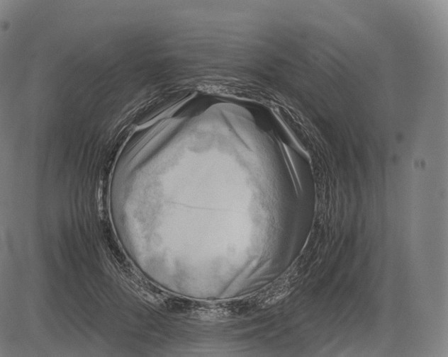 X0000083010696200702161551