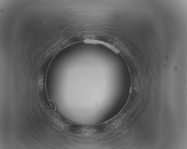 X0000083010697200702161551