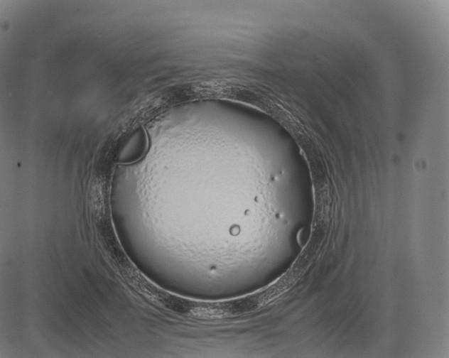 X0000083010699200702161551