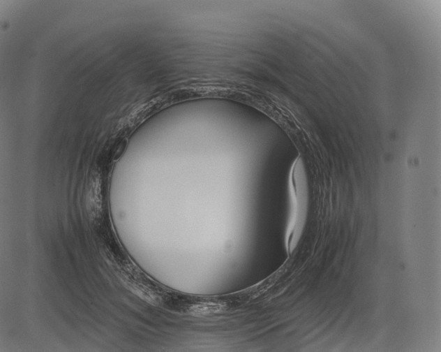 X0000083010700200702161551