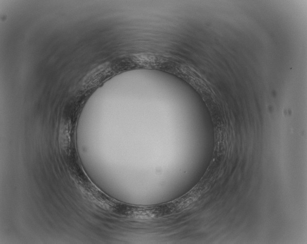 X0000083010702200702161551