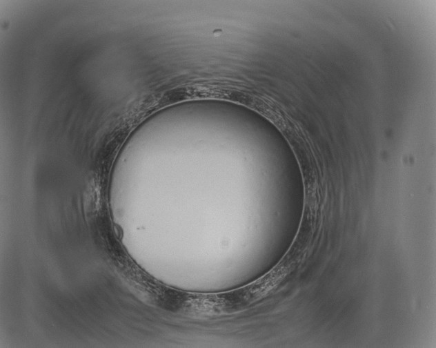 X0000083010703200702161551