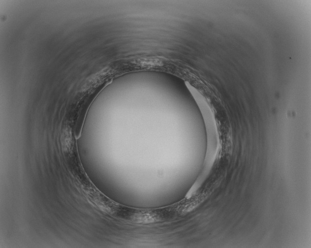 X0000083010704200702161551