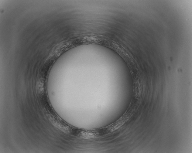 X0000083010706200702161551