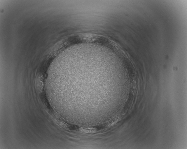 X0000083010707200702161551