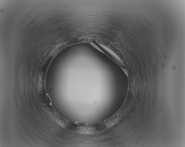 X0000083010708200702161551