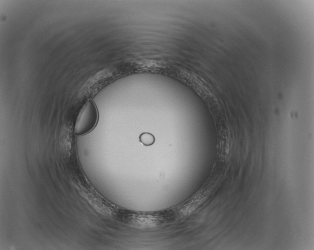 X0000083010710200702161551