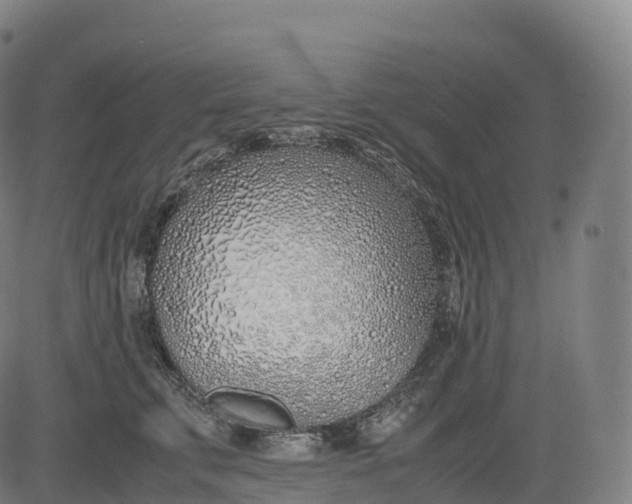 X0000083010711200702161551