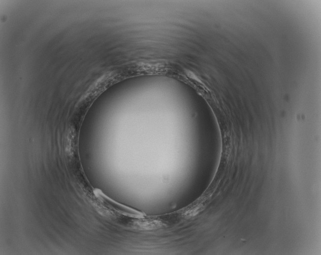 X0000083010712200702161551