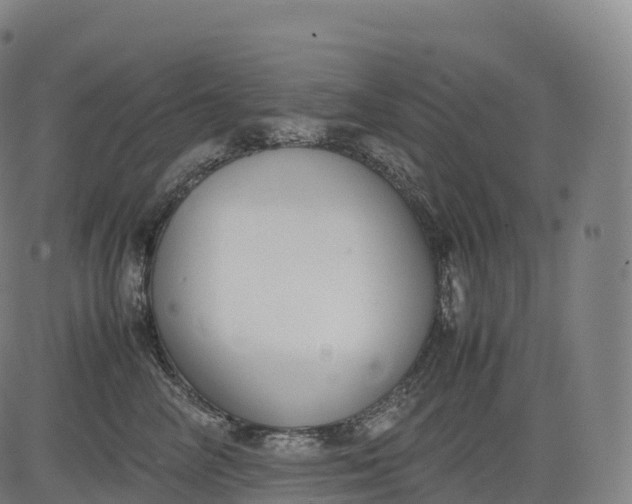 X0000083010714200702161551