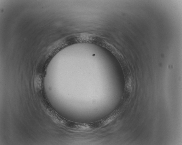 X0000083010715200702161551