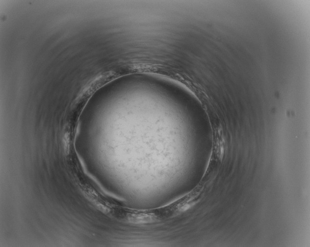 X0000083010716200702161551