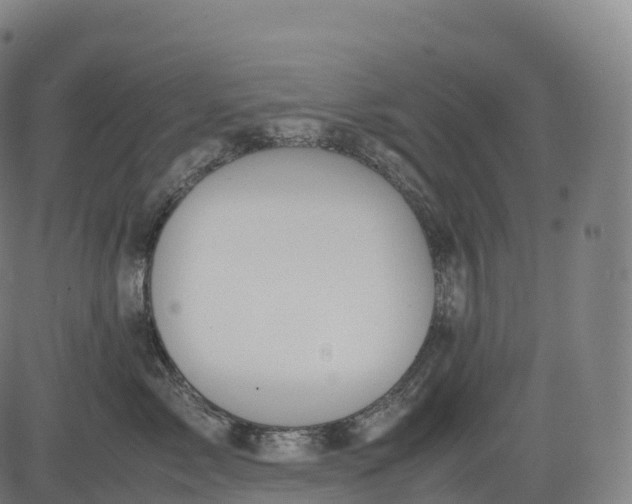 X0000083010717200702161551