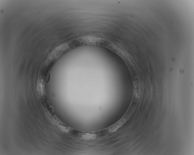 X0000083010718200702161551