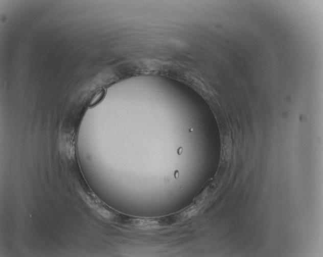 X0000083010719200702161551